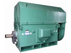 YJTG-132M1-6A/4KWYKK系列高压电机