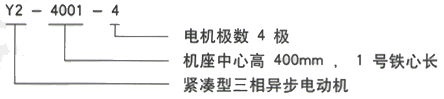 YR系列(H355-1000)高压YJTG-132M1-6A/4KW三相异步电机西安西玛电机型号说明